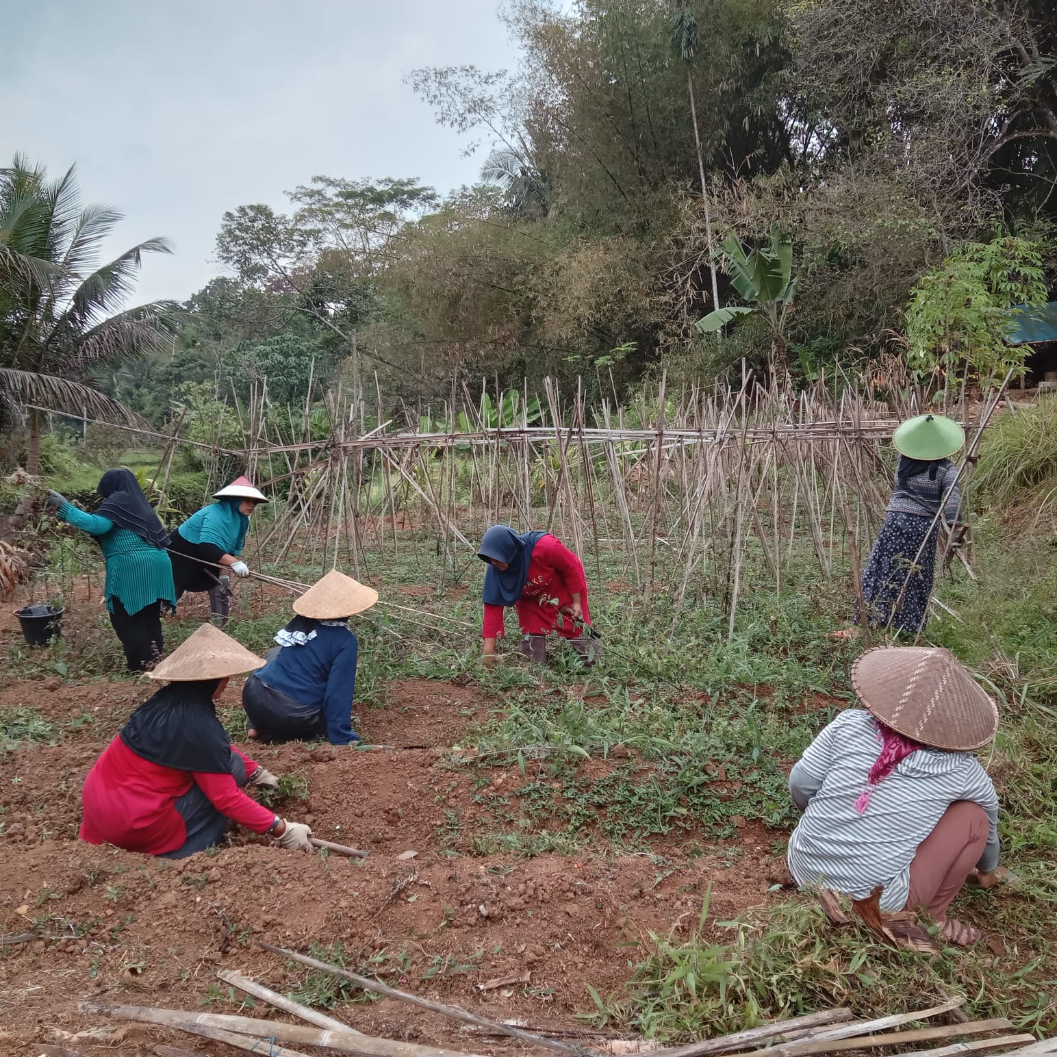Kegiatan KWT Sekar Tanjung