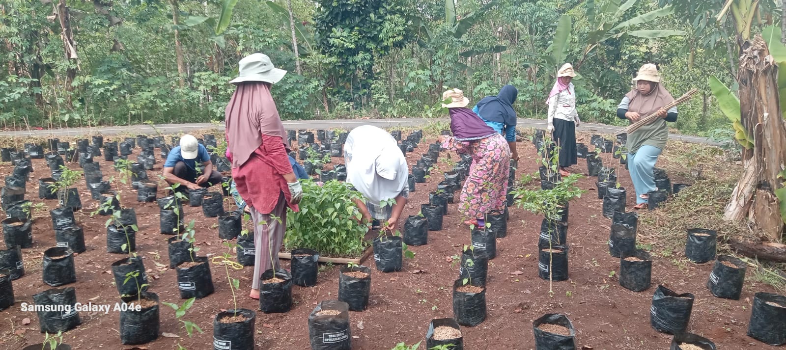 Kegiatan KWT Sekar Tanjung Dusun Dayeuhdatar